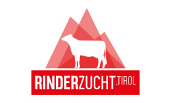 Rinderzucht Tirol